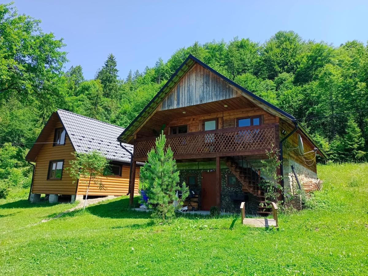 Під Горою Villa Sheshory Exterior photo