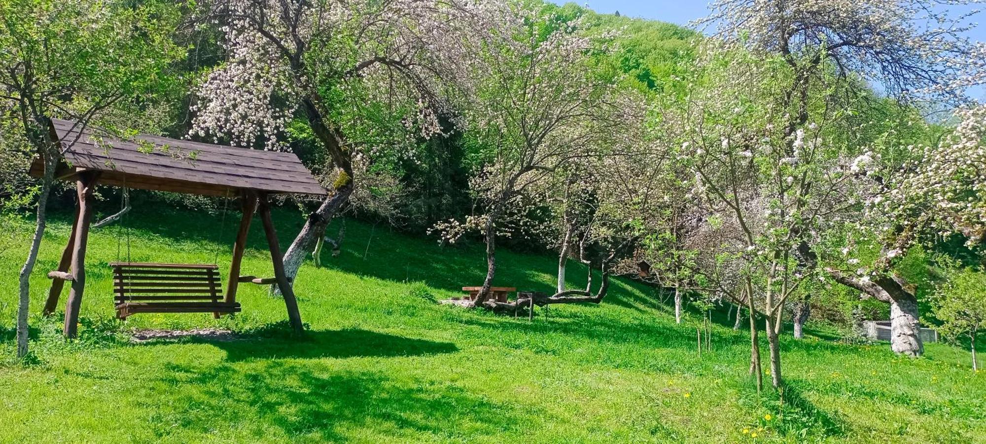 Під Горою Villa Sheshory Exterior photo