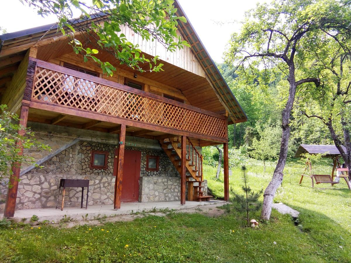 Під Горою Villa Sheshory Exterior photo